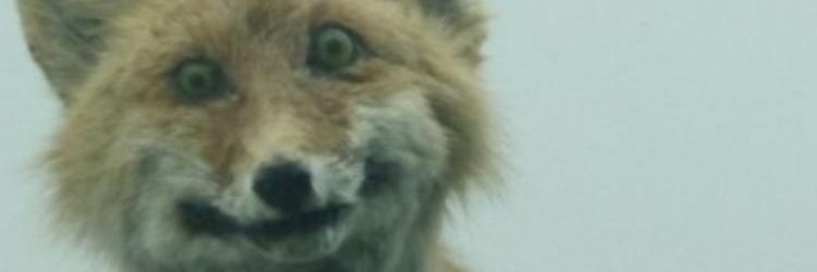 keviw2000's profile banner image