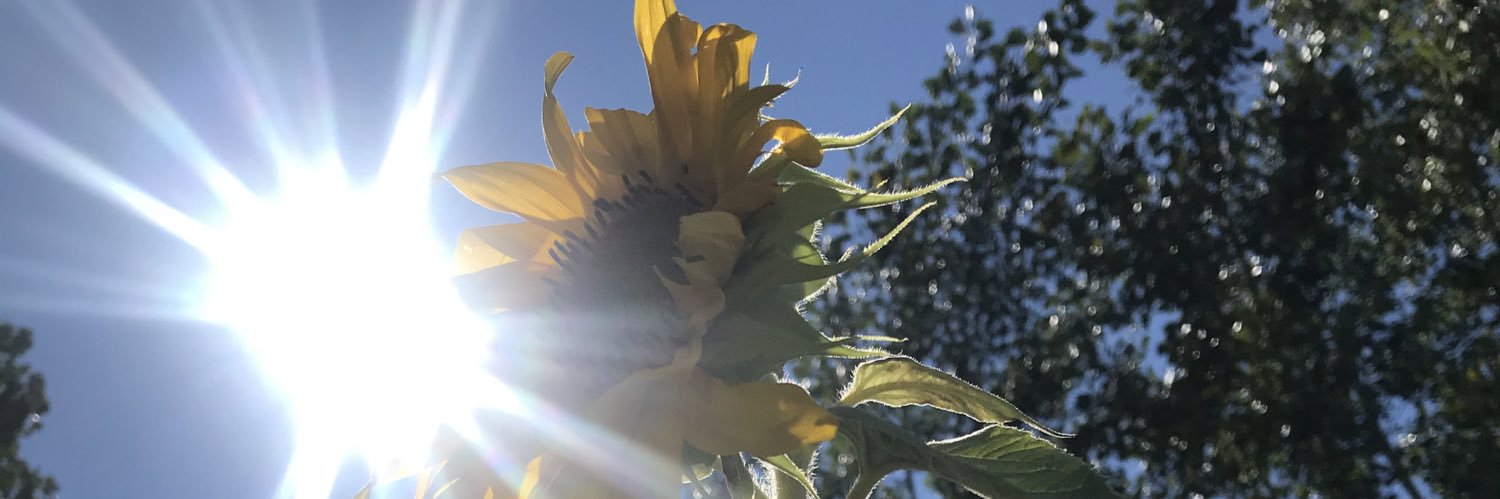 jreneecummins's profile banner image
