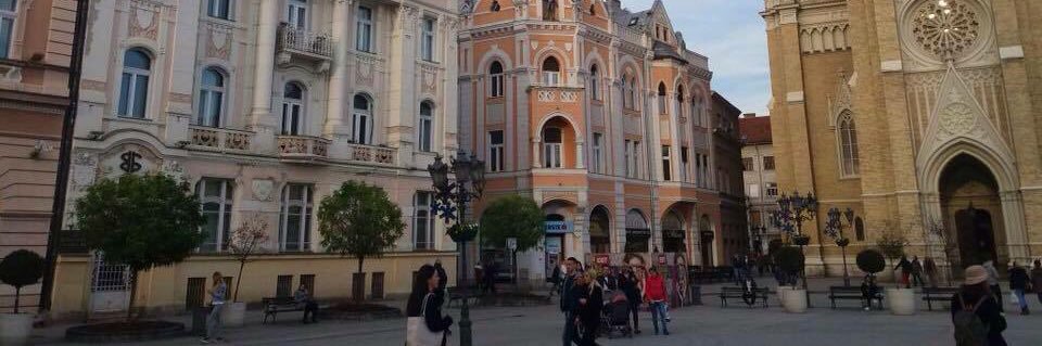 Carolina.🌻💙🇨🇱 banner