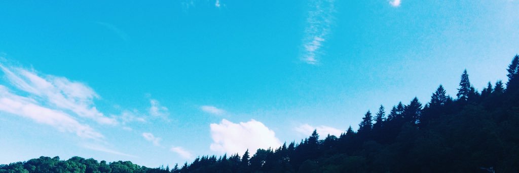 n0nski's profile banner image