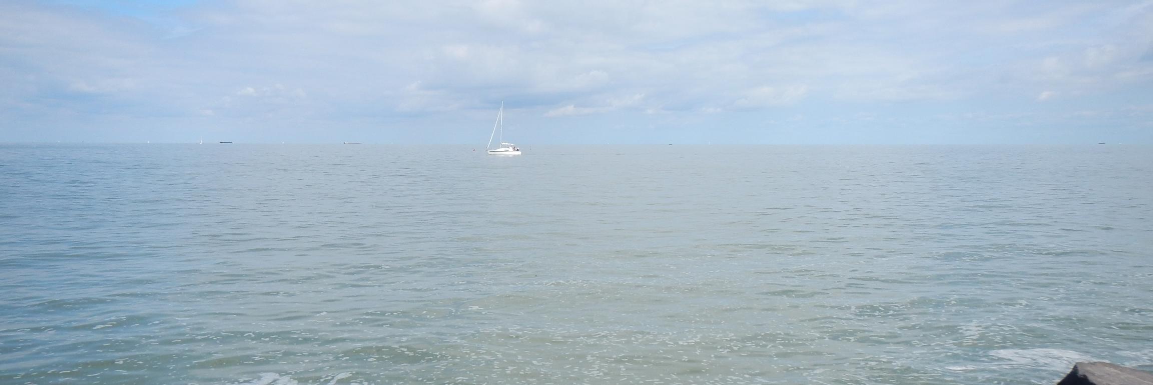 EcologieMM's profile banner image