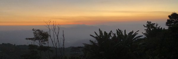 PedroFacon Profile Banner