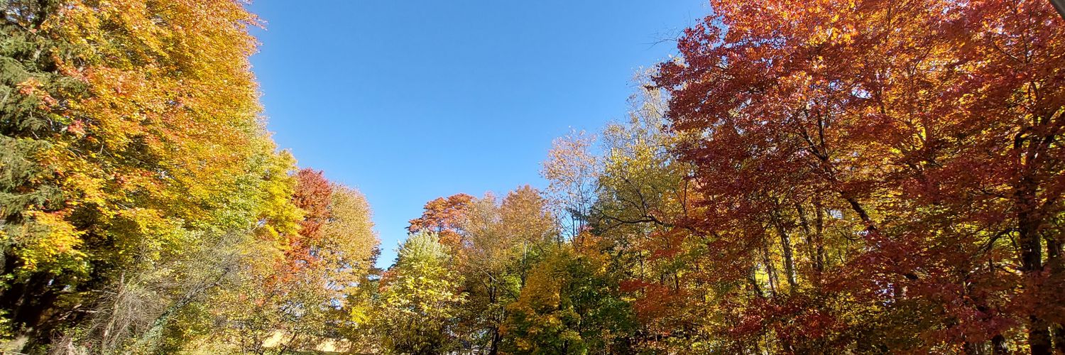 bert__man's profile banner image