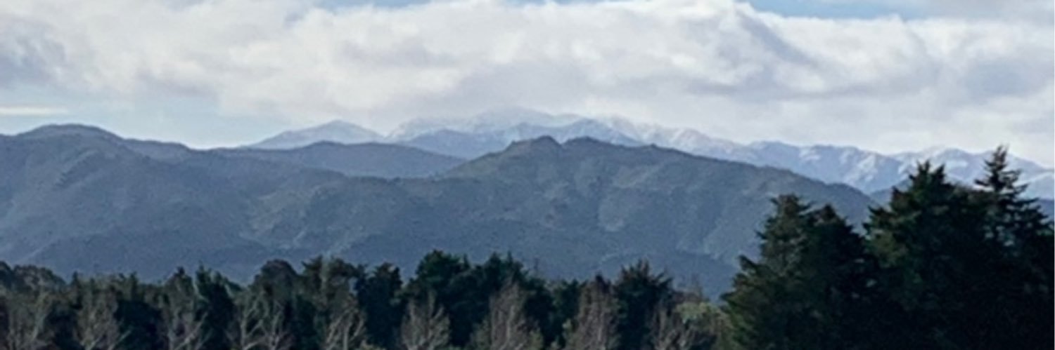 PalaeoSeds's profile banner image
