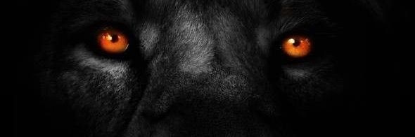 moiseketh's profile banner image