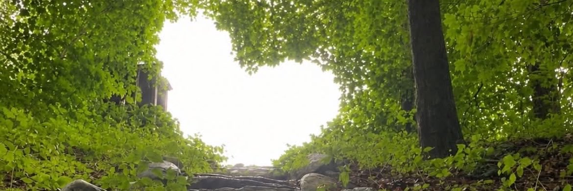 erinemelton's profile banner image