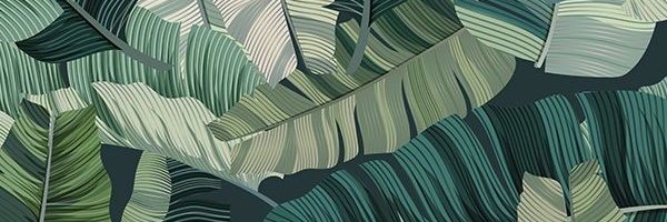 sophattt's profile banner image