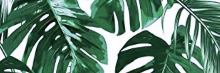 abbdizzle17's profile banner image