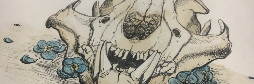 squidclaws's profile banner image