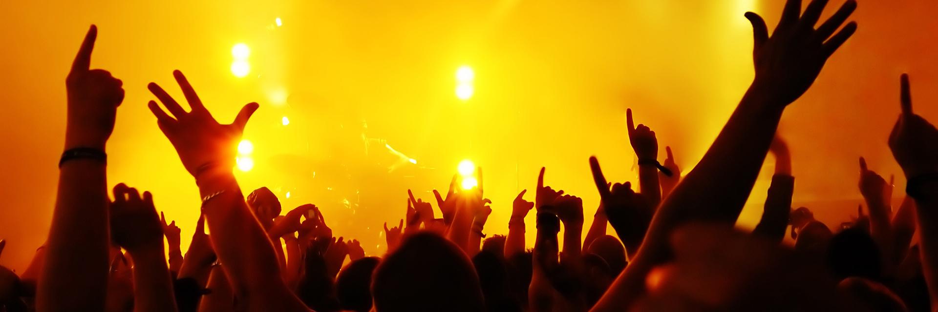 PromoMushMusic's profile banner image