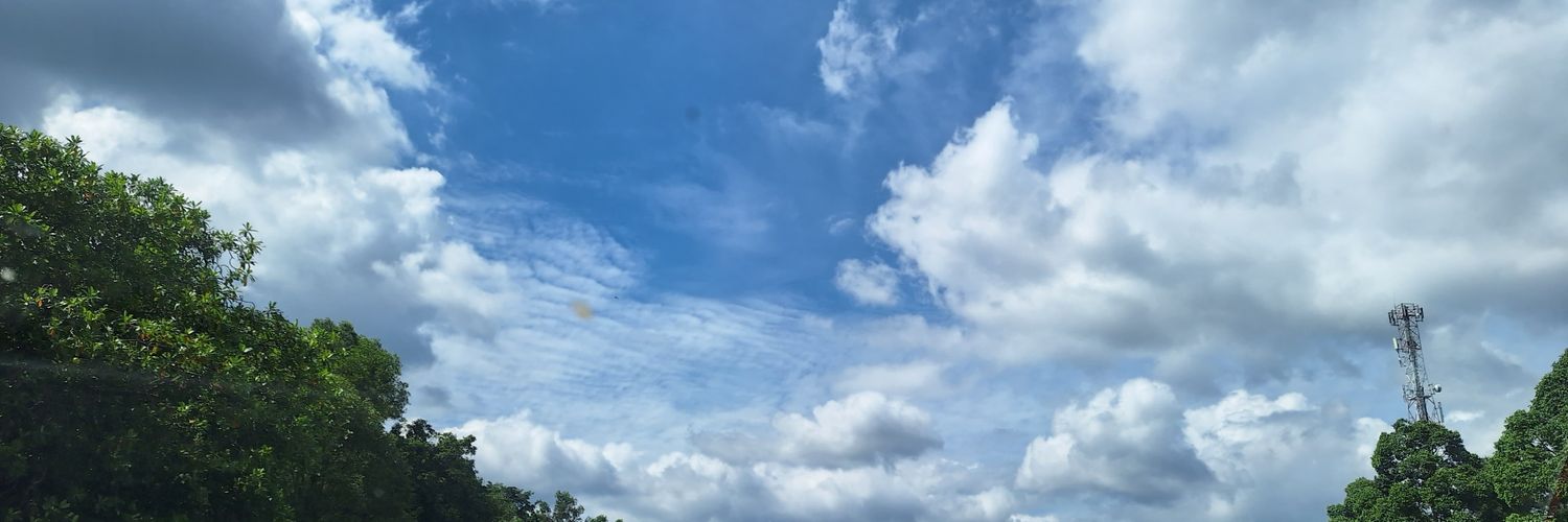 Sharifah Sofia 🇲🇾 🇵🇸 banner