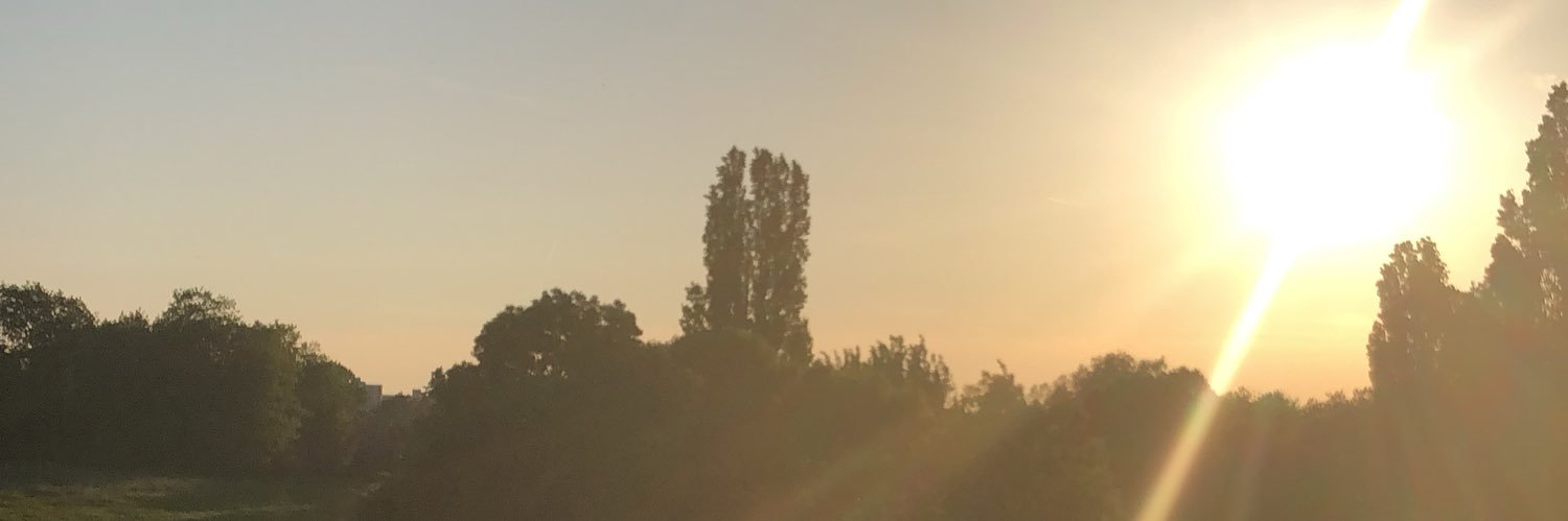 SukiBains1's profile banner image