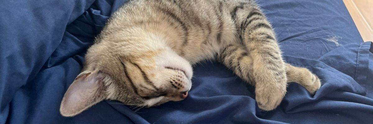 rainyxface's profile banner image