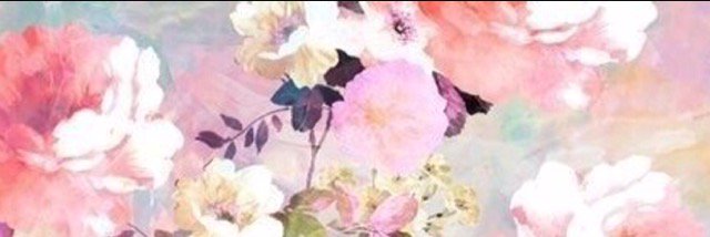 Emily Jay banner