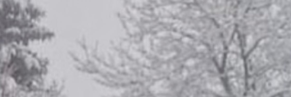 aymn_2020's profile banner image