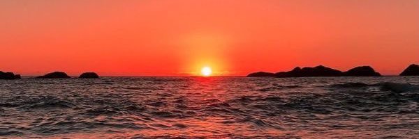 NicolleSaba's profile banner image
