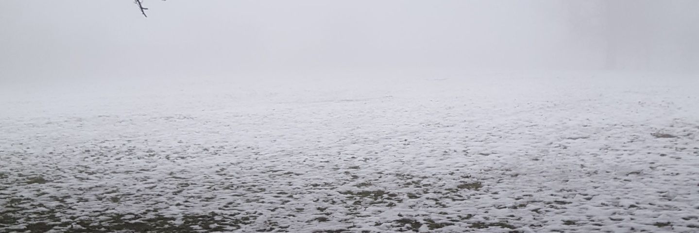 jamieriley10's profile banner image