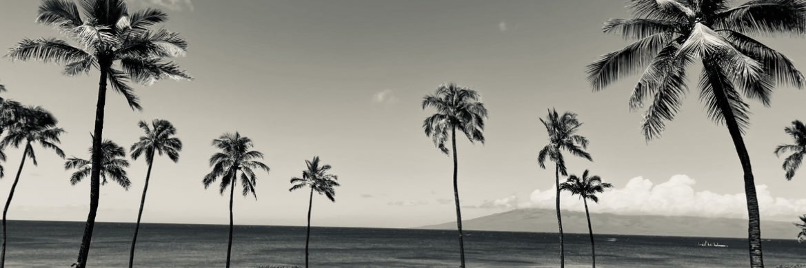 kelsshen's profile banner image