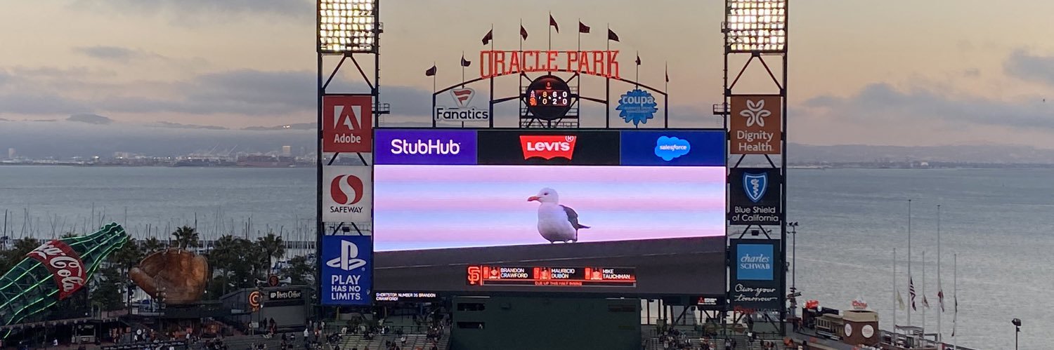 Oracle Park Seagull 's banner