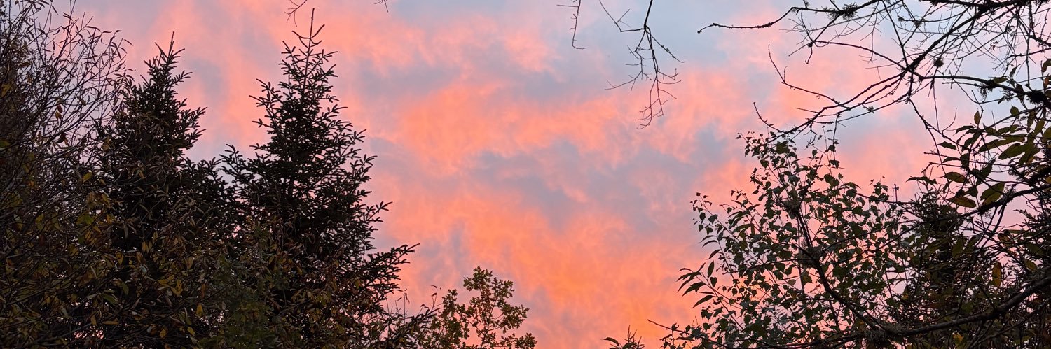 AlizeeGauthier1's profile banner image