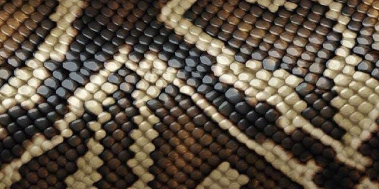 MarwanKahar's profile banner image