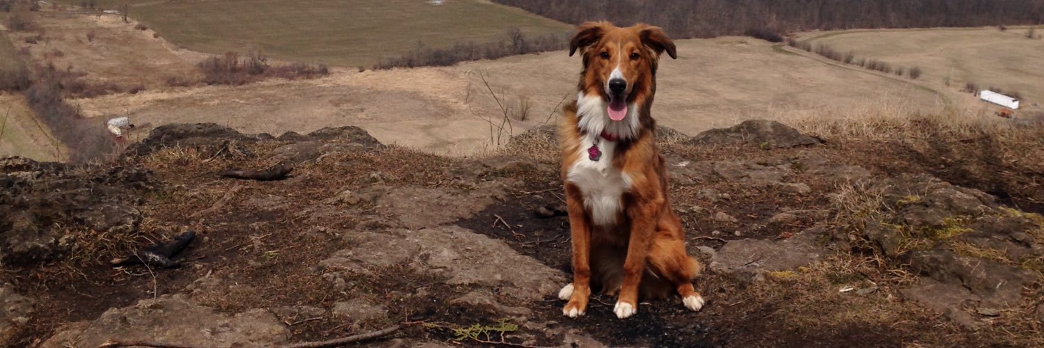 stephon thorne banner