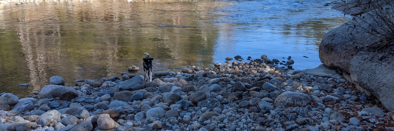 Jo Viney (she/her) banner