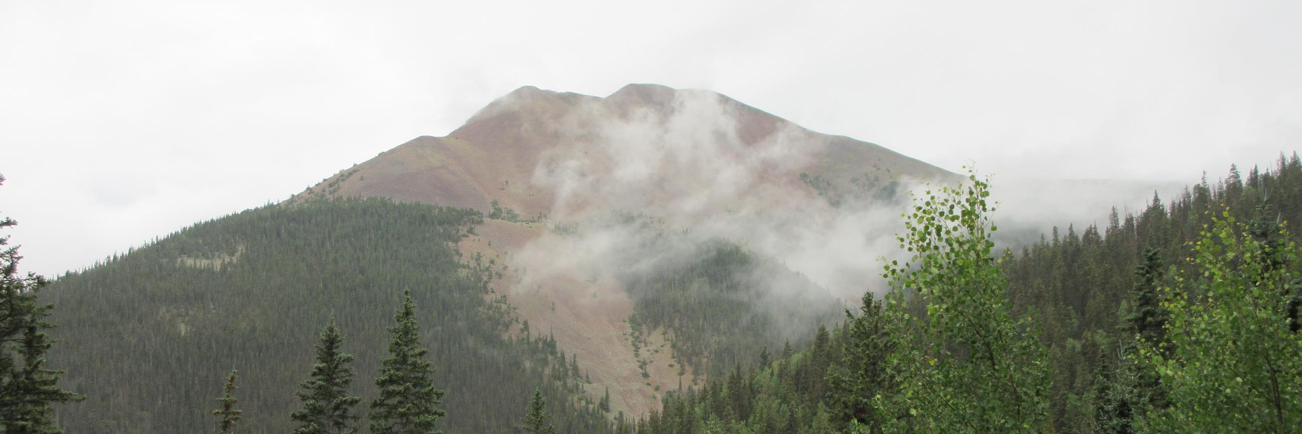 Jerry Freewalt banner