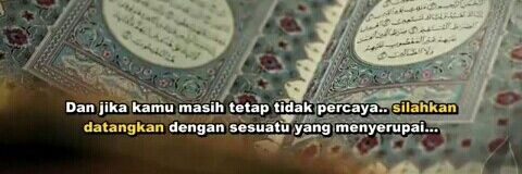 ditaadituul's profile banner image