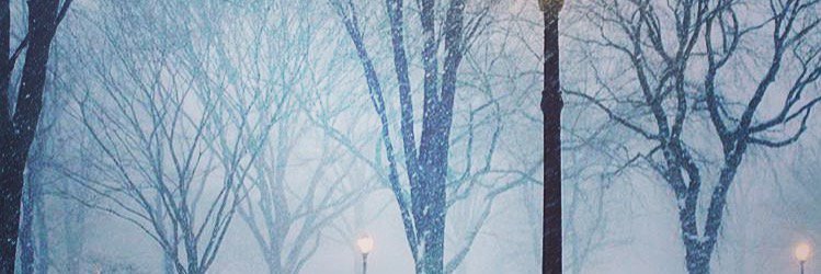 Georgeous banner