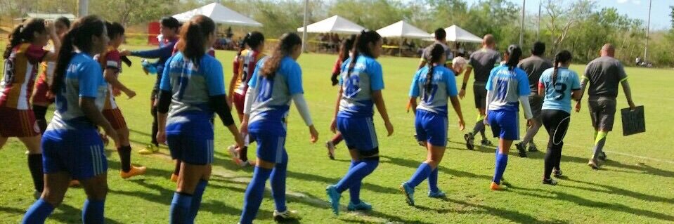 Alondra Escolastico banner