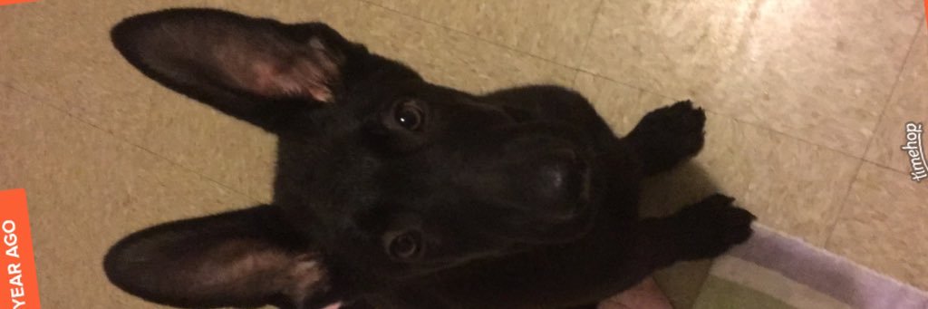 dougtolbert's profile banner image