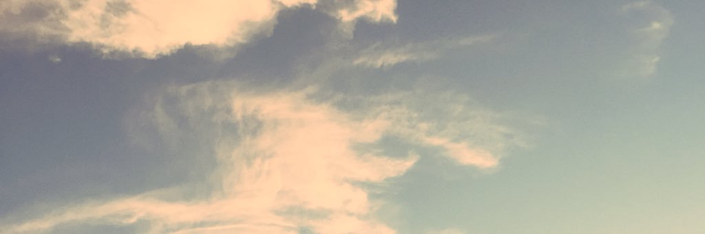 lasko banner