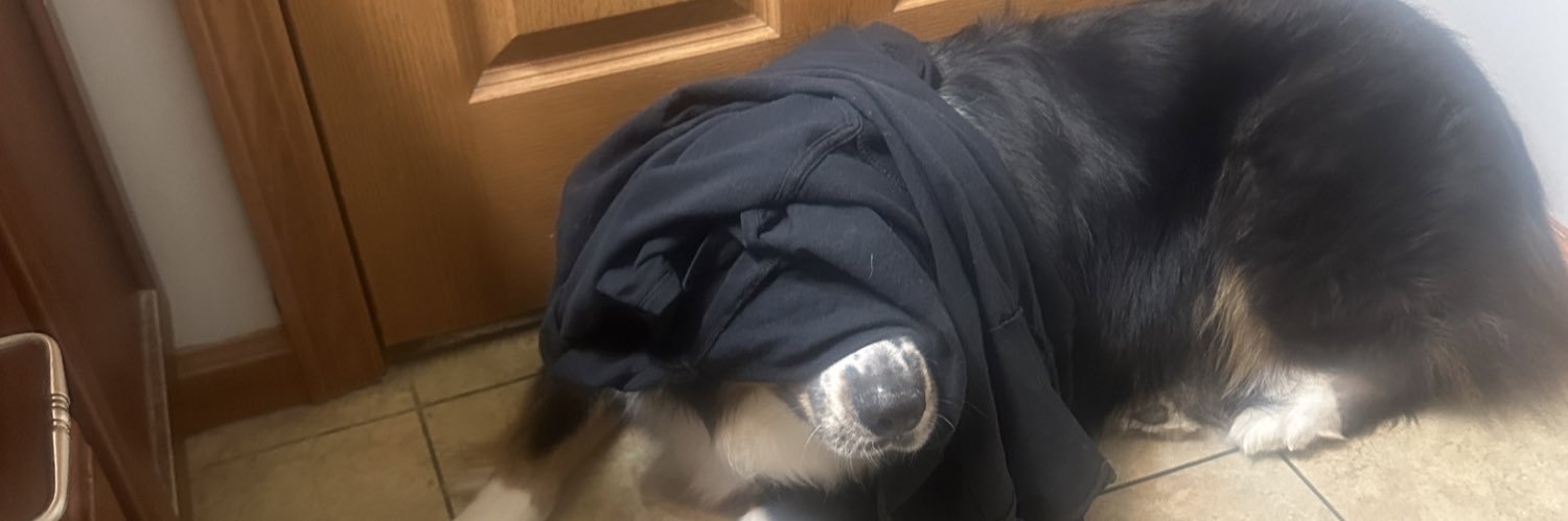 drpipper95's profile banner image