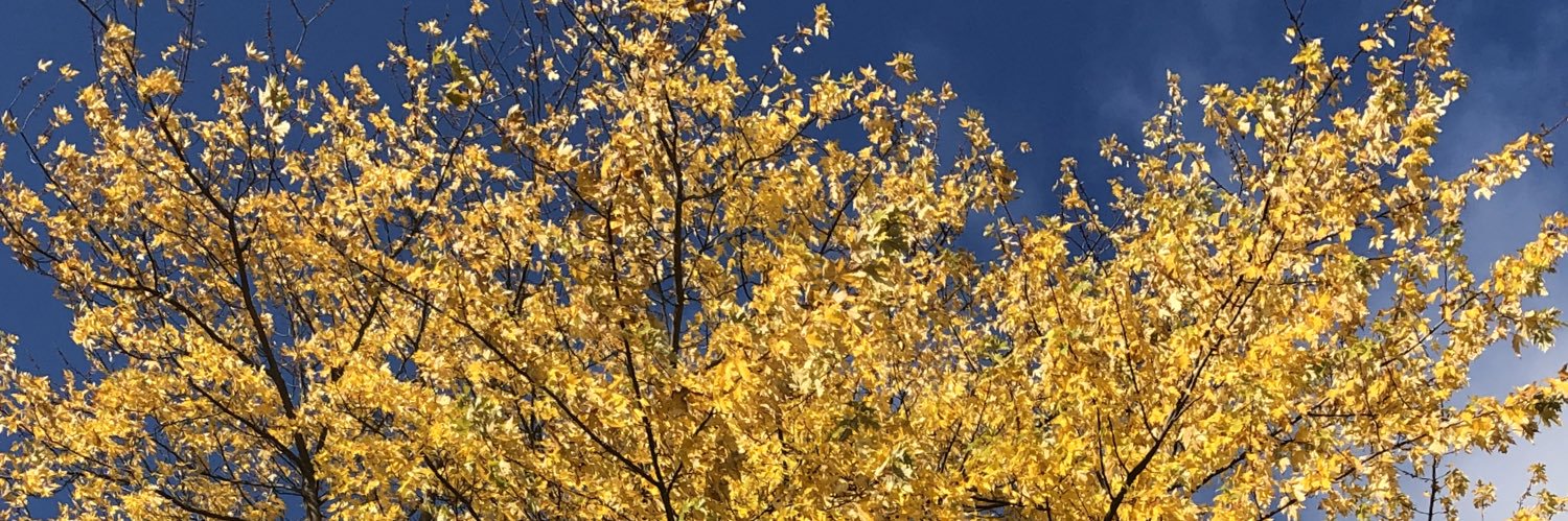 KateUpNorth's profile banner image
