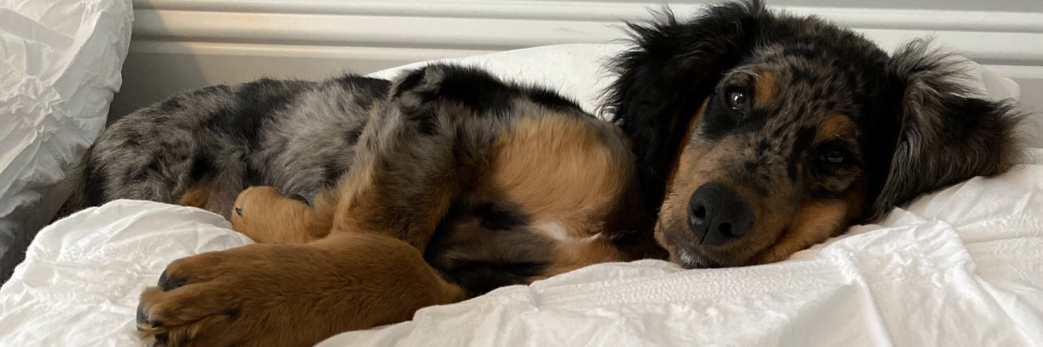CPTrey4's profile banner image