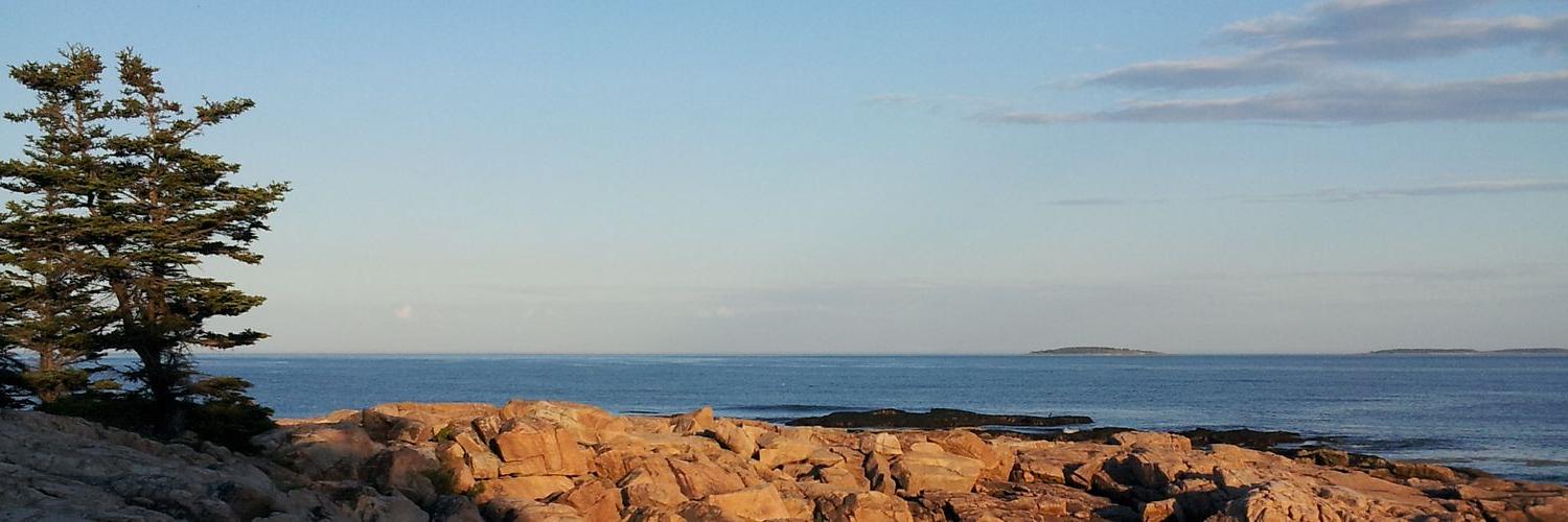 MSCorneau's profile banner image