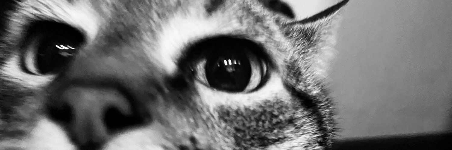 Meow_Mcat's profile banner image