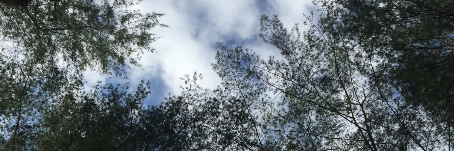 WilliamLesi's profile banner image