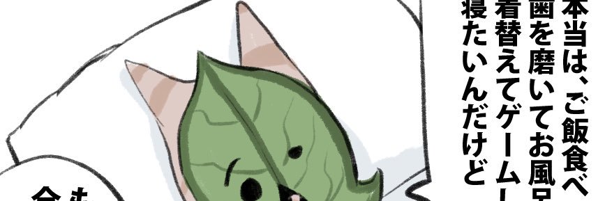 dash38_ika's profile banner image