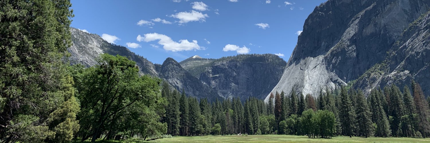 Lisa Cummings banner