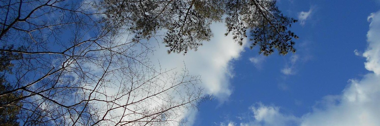 Snwstwt's profile banner image