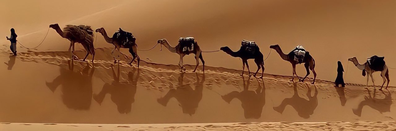 MHNASAL's profile banner image