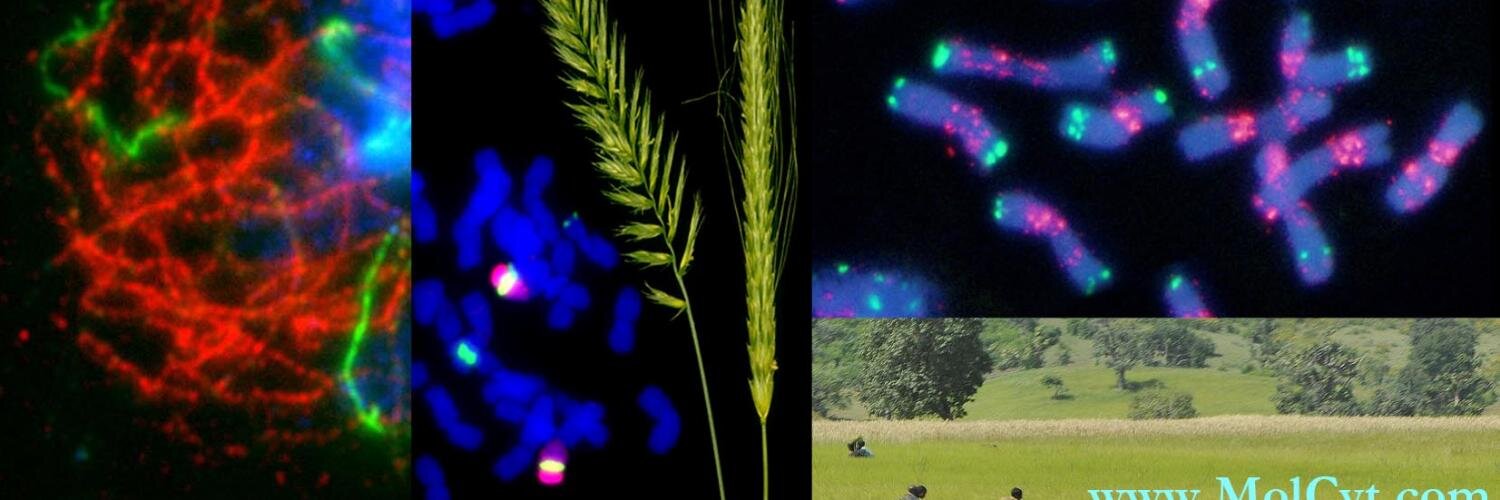 Pat Heslop-Harrison banner