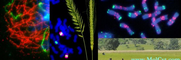 Pathh1 Profile Banner