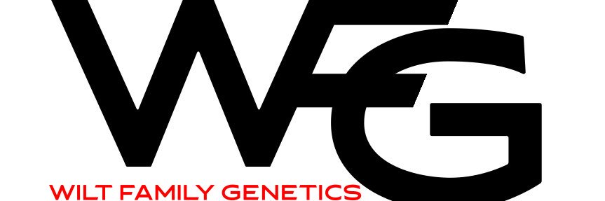 Brock_Wilt's profile banner image