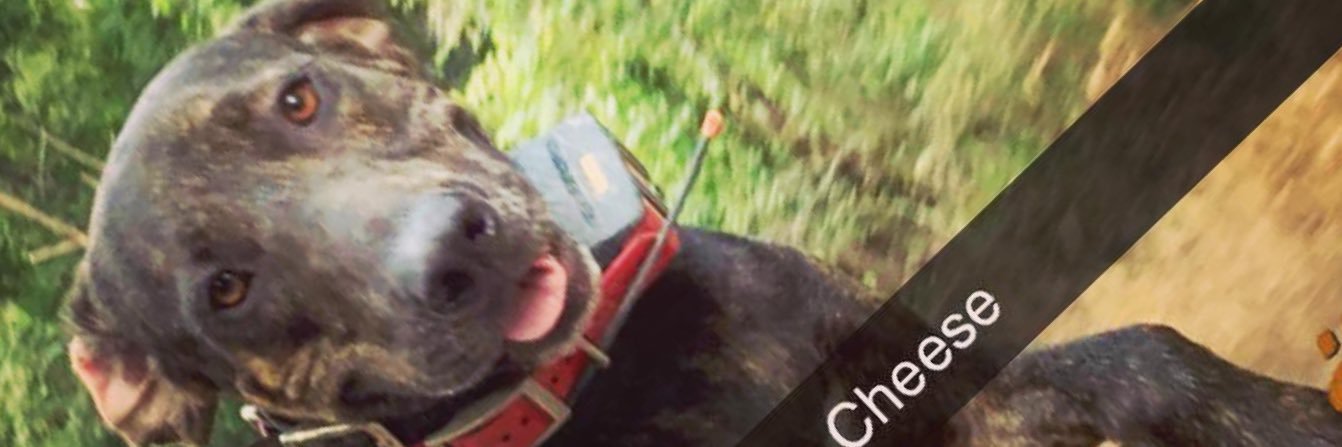 mrwilson212's profile banner image
