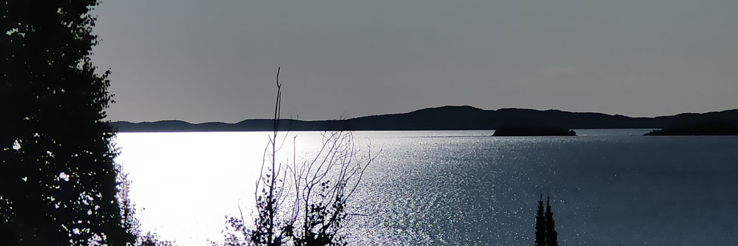 tweetsfromdon's profile banner image
