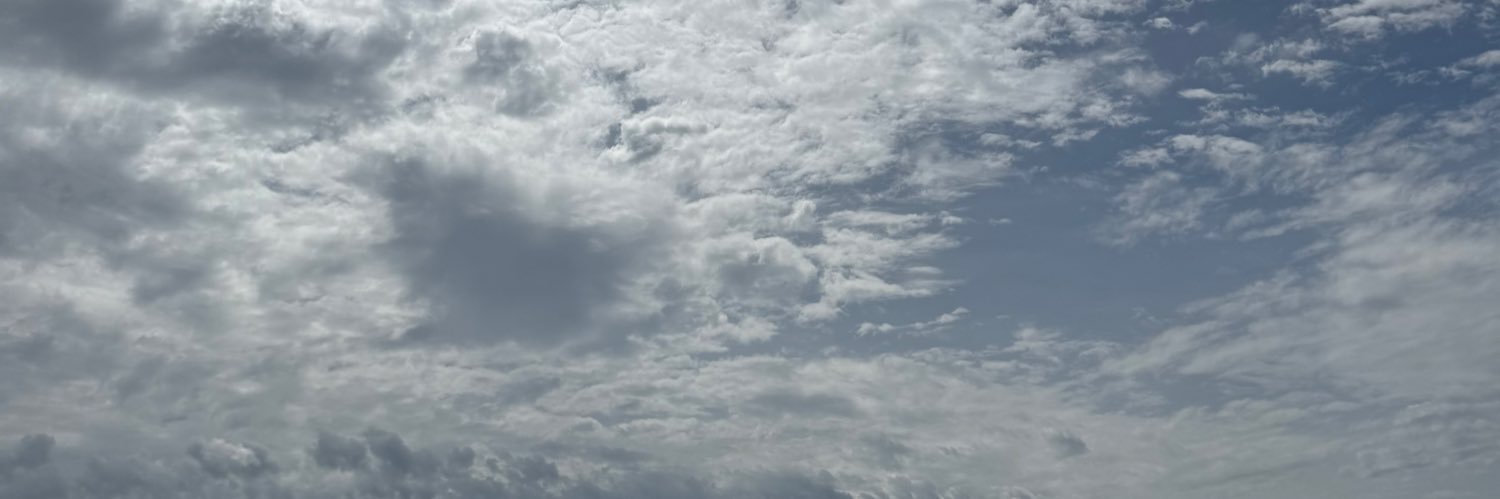 veronicaturozzi's profile banner image