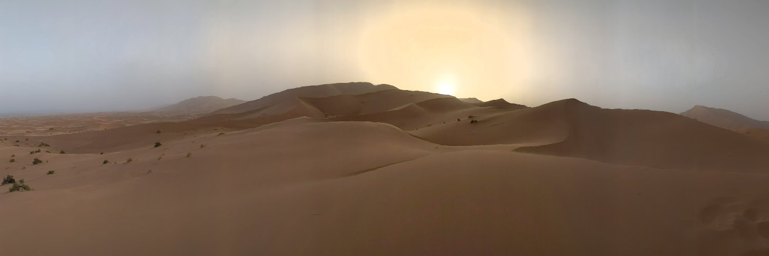 Carlos Ronchi banner